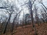 80 +/- Acres Proctor Lane - Photo 13