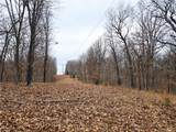 80 +/- Acres Proctor Lane - Photo 17