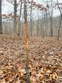 80 +/- Acres Proctor Lane - Photo 19