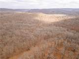 80 +/- Acres Proctor Lane - Photo 46