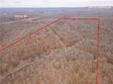 80 +/- Acres Proctor Lane - Photo 6