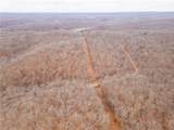 80 +/- Acres Proctor Lane - Photo 56