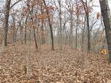 80 +/- Acres Proctor Lane - Photo 7