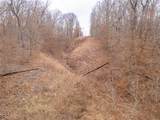 80 +/- Acres Proctor Lane - Photo 66