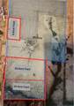 20 Acres Tract B - State B Highway - Photo 3