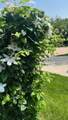 11 Antilles Drive - Photo 5