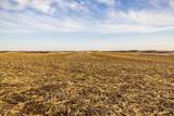 64919 Yankton Road - Photo 47