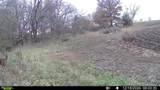  Staley Mound Rd. Road - Photo 1