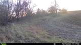  Staley Mound Rd. Road - Photo 2