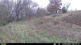  Staley Mound Rd. Road - Photo 3
