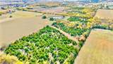125 Acres 1296 Road - Photo 26