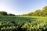 TBD Wamsley Road - Photo 6