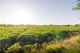TBD Wamsley Road - Photo 7