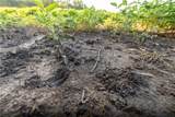 TBD Wamsley Road - Photo 9