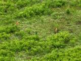 270 Street - Photo 19