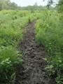  270 Street - Photo 23