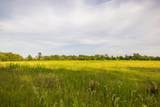  267th Road - Photo 45