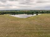 299+/- Acres 1151st Road - Photo 7