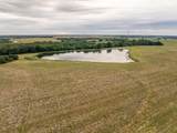 299+/- Acres 1151st Road - Photo 8