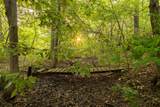 466 391 Road - Photo 44