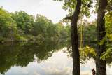 466 391 Road - Photo 47