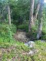 TBD Walker Road - Photo 7