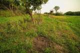  Oxen Road - Photo 15