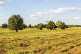 Tract 3 343rd Street - Photo 23