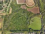 61.6 acres Se Hamblen Road - Photo 7