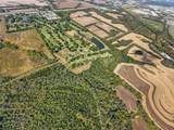 61.6 acres Se Hamblen Road - Photo 8