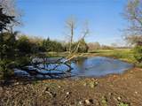 4633 County Rd 5004 N/A - Photo 52