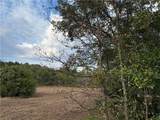  Bronco Road - Photo 49