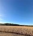 66 Cr 66 Tracts 2 & 3 Road - Photo 11