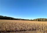 66 Cr 66 Tracts 2 & 3 Road - Photo 9