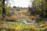 TBD 10th Road - Photo 21