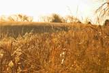  432 Road - Photo 2