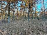 TBD 525 Road - Photo 20