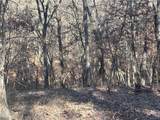 51500 River Road - Photo 5