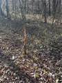 51500 River Road - Photo 10