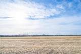 Tract 4 Pryor Road - Photo 16