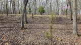 Lot #362 Lake Drive - Photo 11