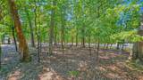 Lot #241 Grand Cove Road - Photo 4