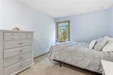 12336 Albervan Street - Photo 12