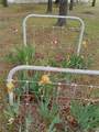 22805 Cc Highway - Photo 24