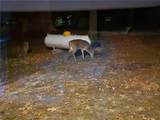 22805 Cc Highway - Photo 28