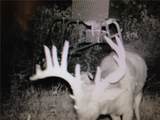 00000 363rd Street - Photo 12