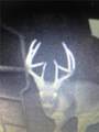 00000 363rd Street - Photo 15