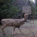 00000 363rd Street - Photo 4