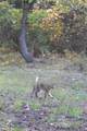 00000 363rd Street - Photo 6