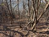  Chimney Rock Road - Photo 5